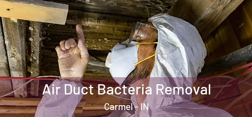  Air Duct Bacteria Removal Carmel - IN