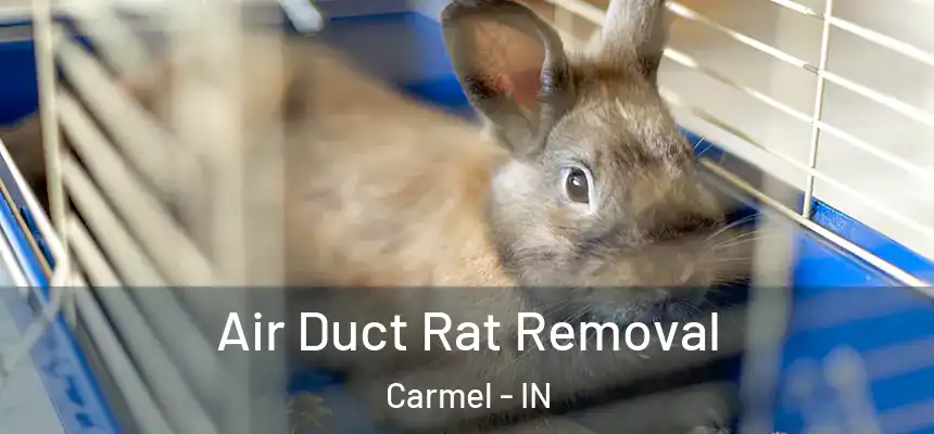  Air Duct Rat Removal Carmel - IN
