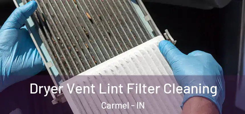Dryer Vent Lint Filter Cleaning Carmel - IN