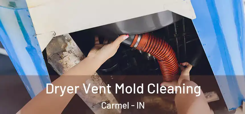  Dryer Vent Mold Cleaning Carmel - IN