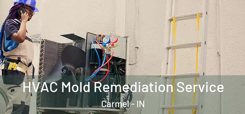  HVAC Mold Remediation Service Carmel - IN