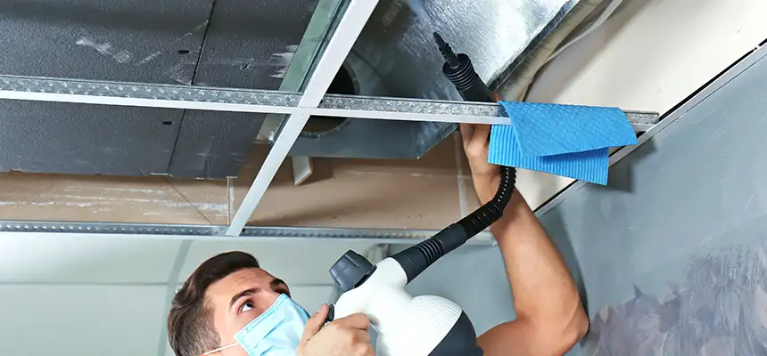 Our Air Duct Rodent Removal Services in Carmel, IN