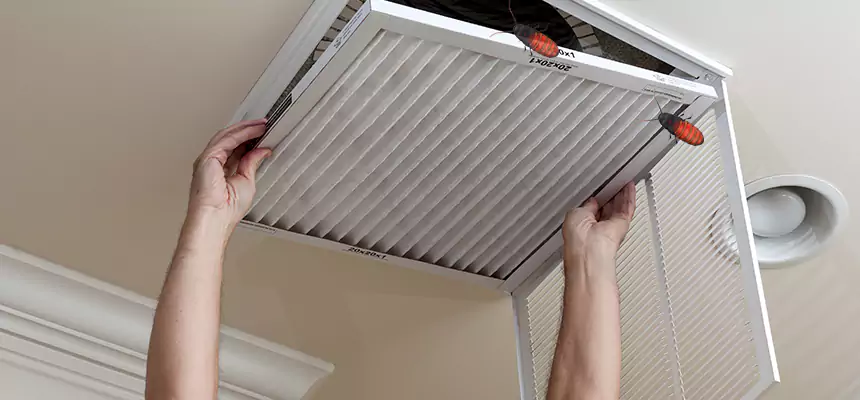 Our Insect Removal from Air Ducts Services in Carmel, IN