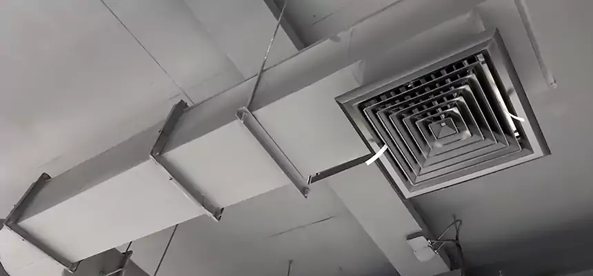 Our Pest Removal From Ducts Services in Carmel, IN