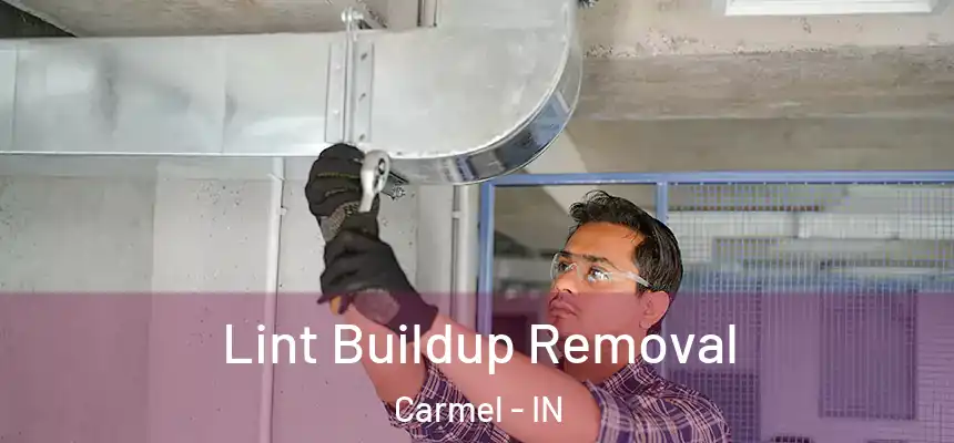 Lint Buildup Removal Carmel - IN