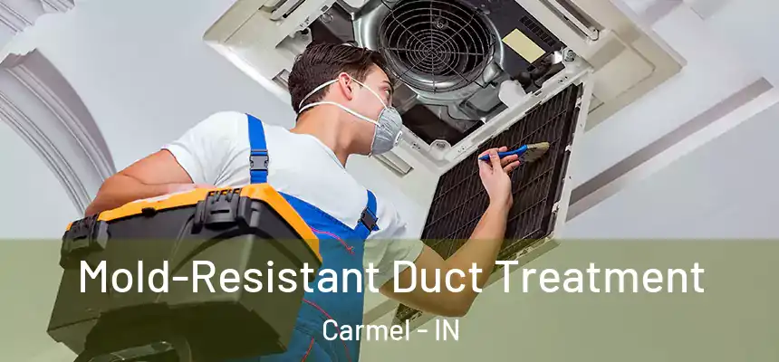  Mold-Resistant Duct Treatment Carmel - IN