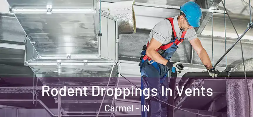 Rodent Droppings In Vents Carmel - IN