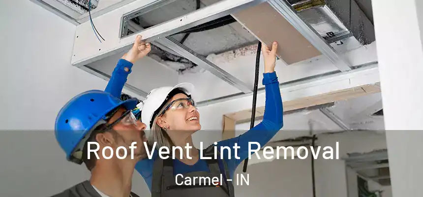  Roof Vent Lint Removal Carmel - IN