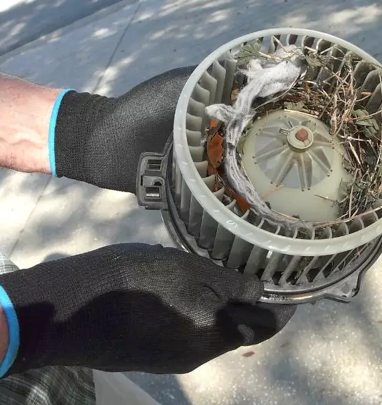 About Air Duct Mice Removal in Carmel, IN