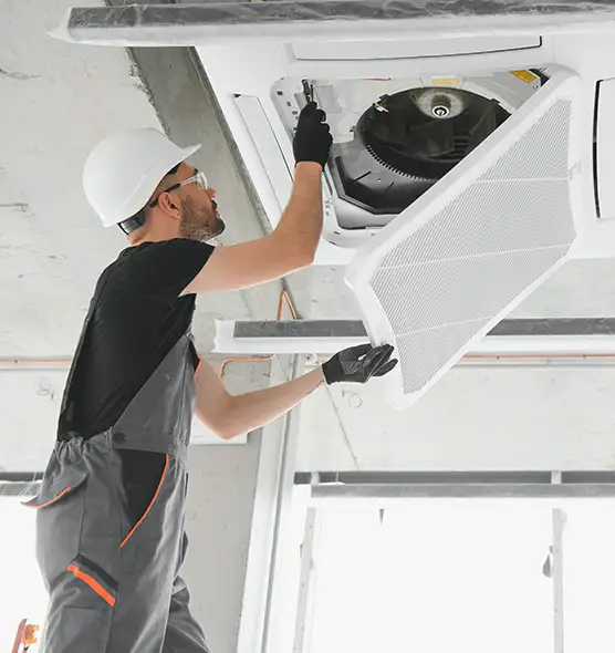 About Air Duct Rodent Removal in Carmel, IN