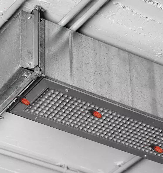 Affordable Insect Removal from Air Ducts in Carmel, IN