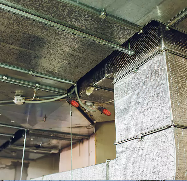 Why Homeowners & Businesses Trust Us in Carmel, IN?